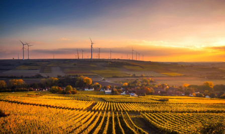 environnement